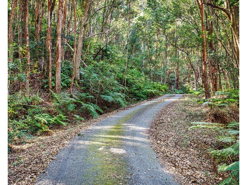 344 Nobbys Creek Road, Nobbys Creek NSW 2484