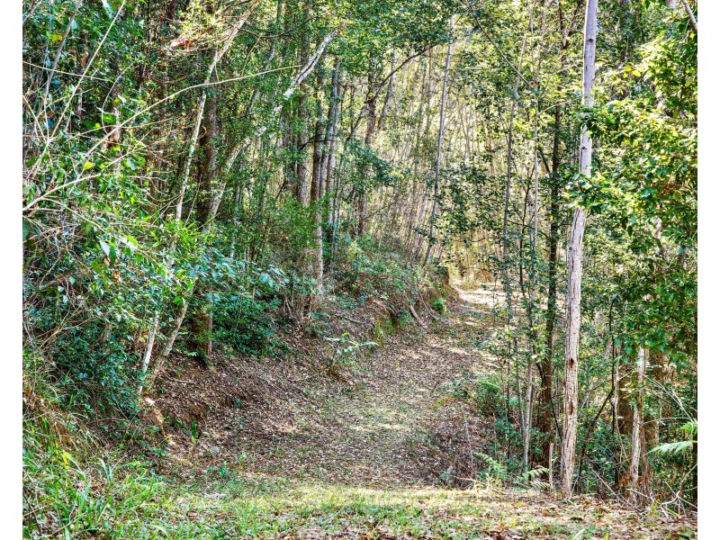 344 Nobbys Creek Road, Nobbys Creek NSW 2484