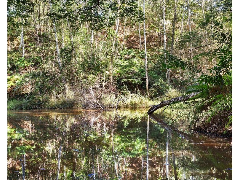 344 Nobbys Creek Road, Nobbys Creek NSW 2484