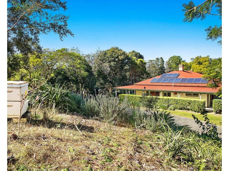 344 Nobbys Creek Road, Nobbys Creek NSW 2484