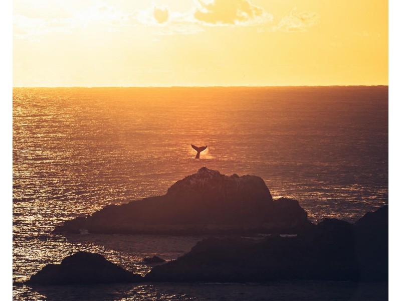 1E/62-64 Lawson, Byron Bay NSW 2481