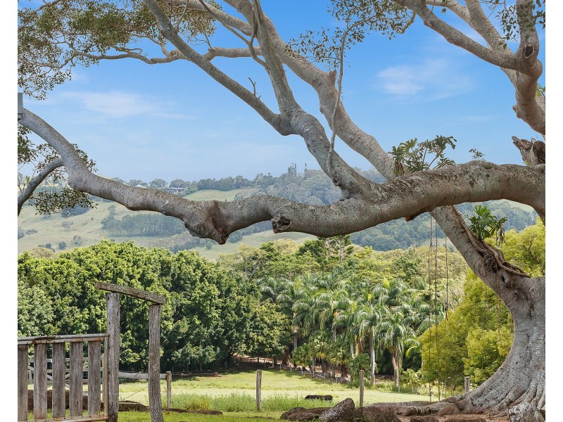 81 Myocum Road, Ewingsdale NSW 2481