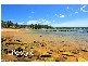 Avoca Beach NSW 2251