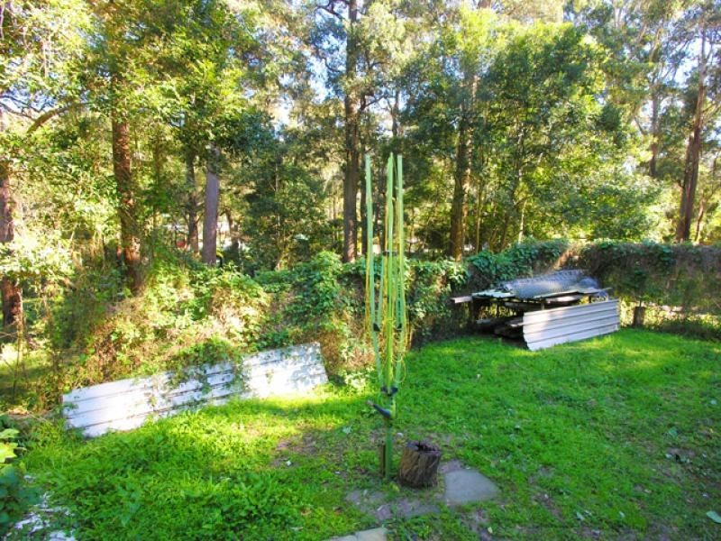 Avoca Beach NSW 2251