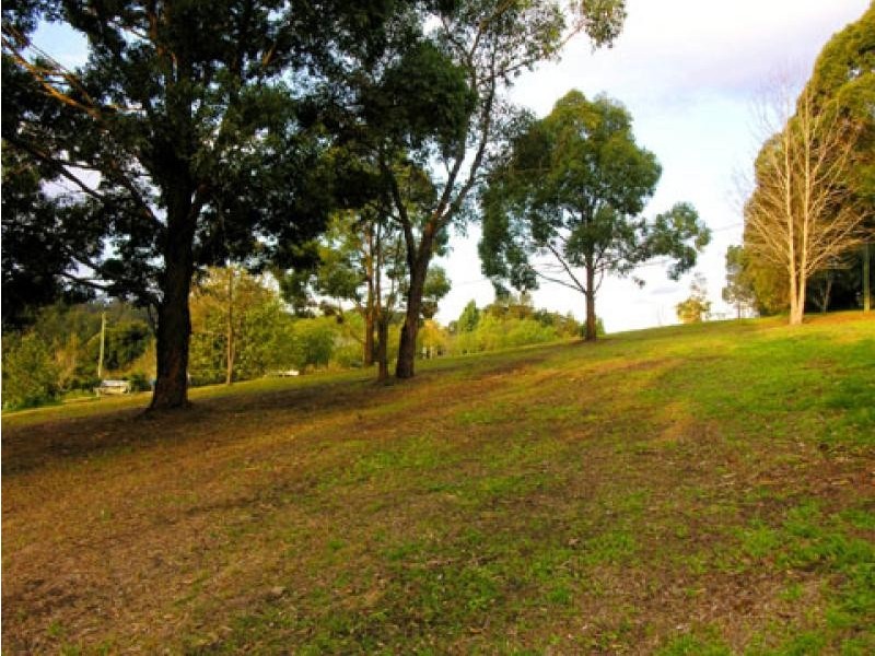 Picketts Valley NSW 2251