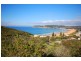 North Avoca NSW 2260