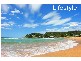 Avoca Beach NSW 2251