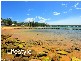 Avoca Beach NSW 2251
