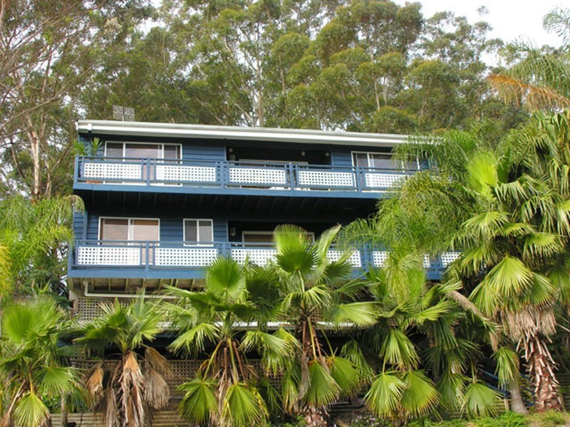 15 Cabbage Tree Avevnue, Avoca Beach NSW 2251