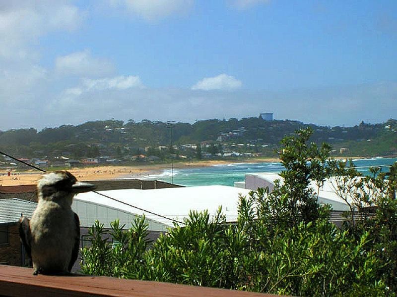 Avoca Beach NSW 2251