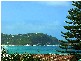 Avoca Beach NSW 2251