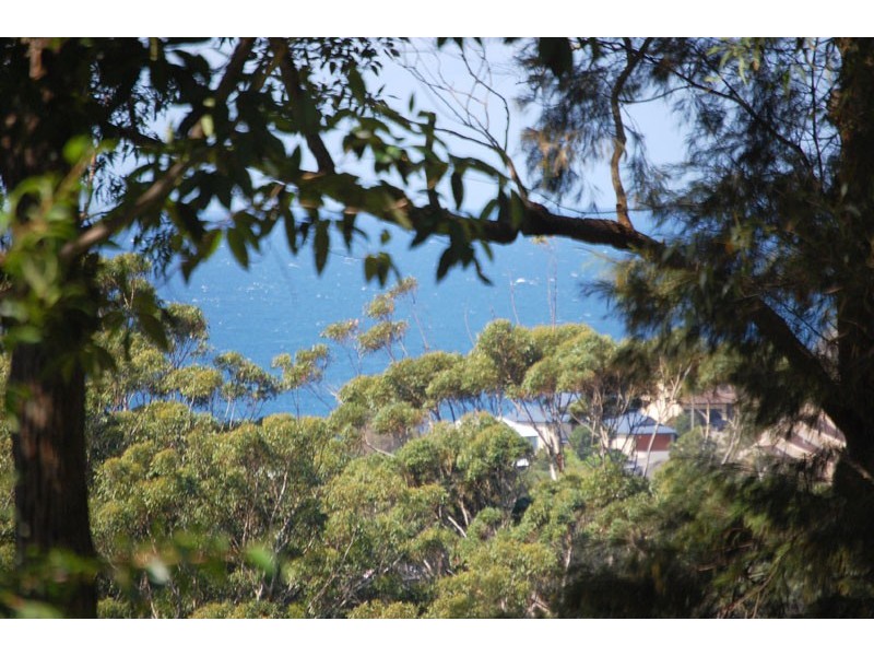 Avoca Beach NSW 2251