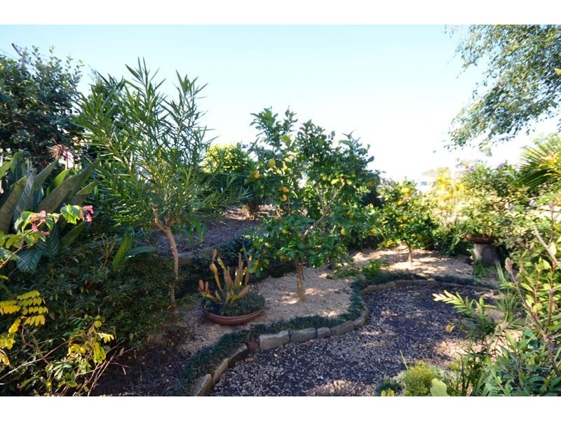 Avoca Beach NSW 2251