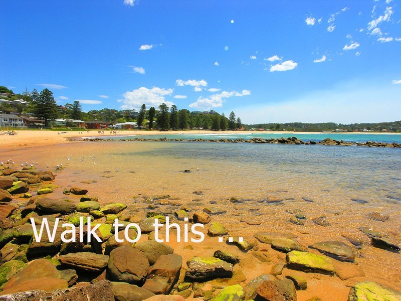 Avoca Beach NSW 2251