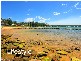 Avoca Beach NSW 2251