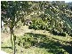 Copacabana NSW 2251