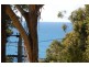Macmasters Beach NSW 2251