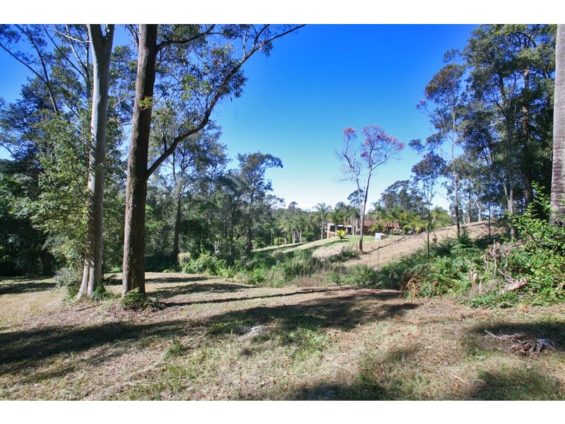 Picketts Valley NSW 2251