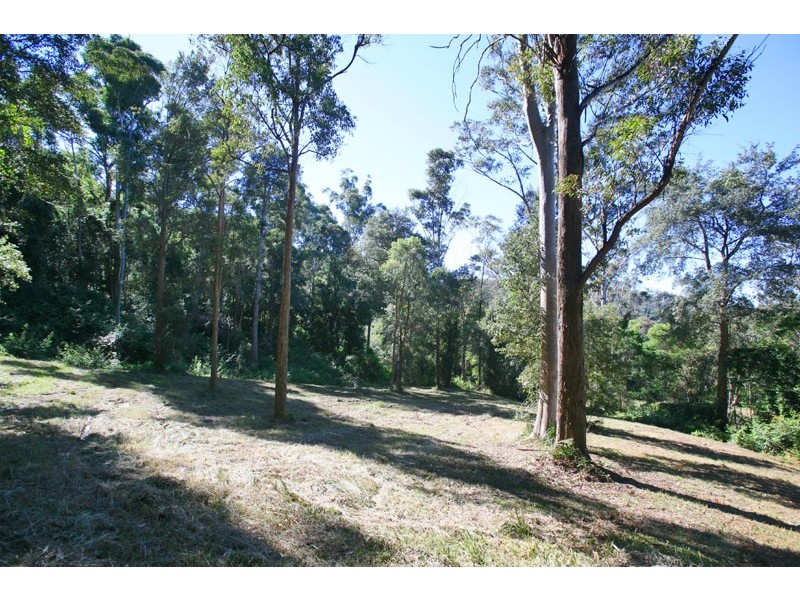 Picketts Valley NSW 2251