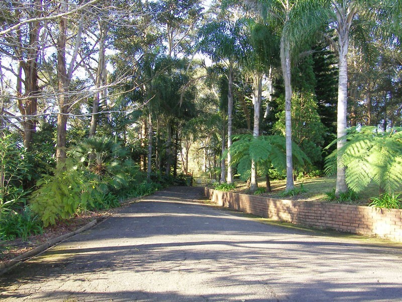 Terrigal NSW 2260