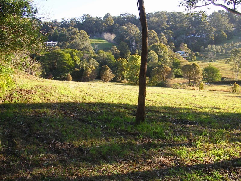 Terrigal NSW 2260