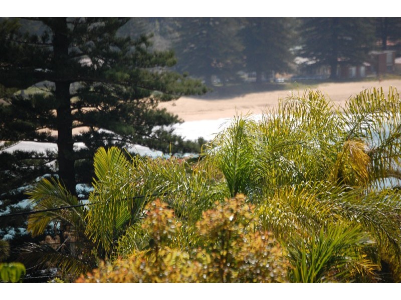 Avoca Beach NSW 2251