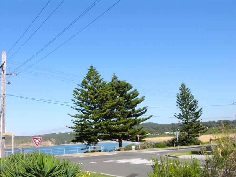 Avoca Beach NSW 2251