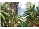 Copacabana NSW 2251