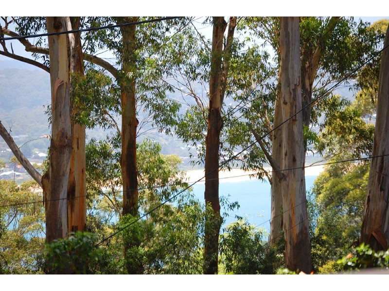 Avoca Beach NSW 2251