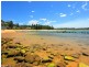 North Avoca NSW 2260