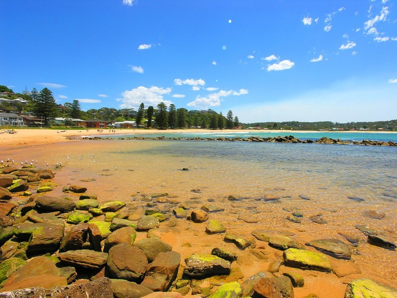 North Avoca NSW 2260