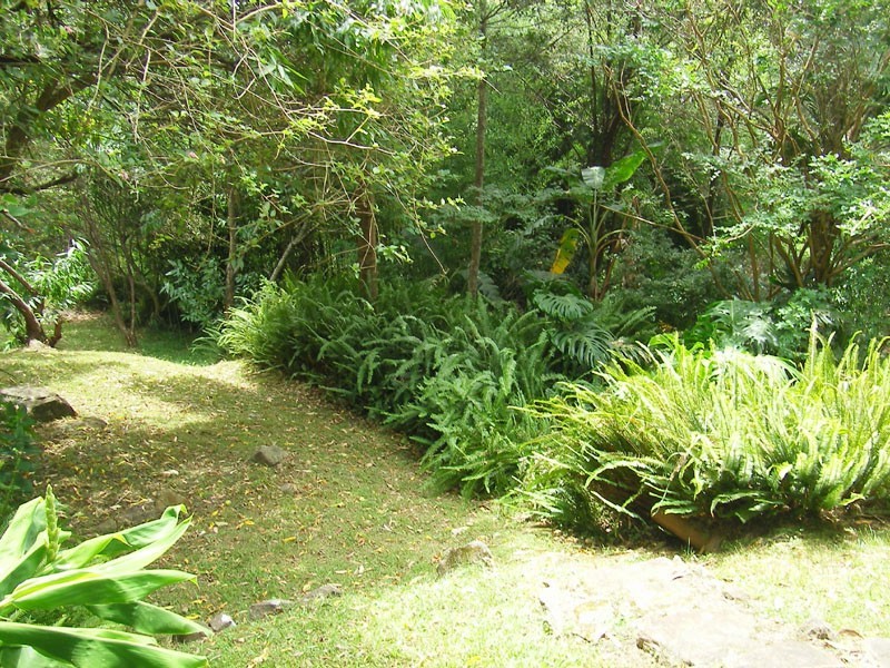 48 Fairscene Crescent, Avoca Beach NSW 2251