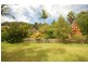 Avoca Beach NSW 2251