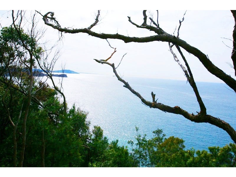 Avoca Beach NSW 2251