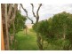 Copacabana NSW 2251