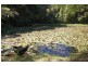 Picketts Valley NSW 2251