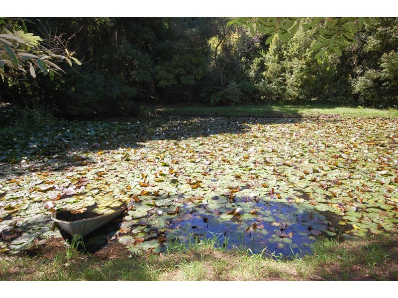 Picketts Valley NSW 2251