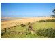Avoca Beach NSW 2251