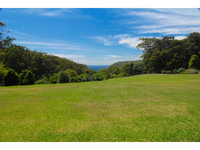 Avoca Beach NSW 2251