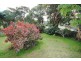 Copacabana NSW 2251