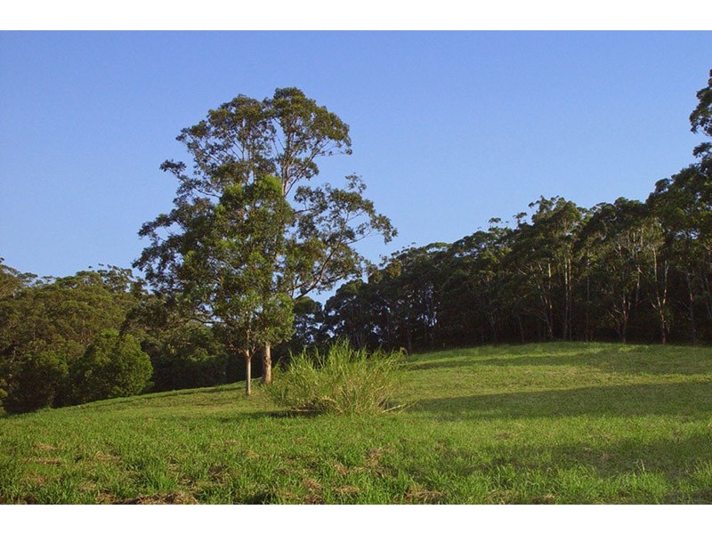 10 Hillside Road, Avoca Beach NSW 2251