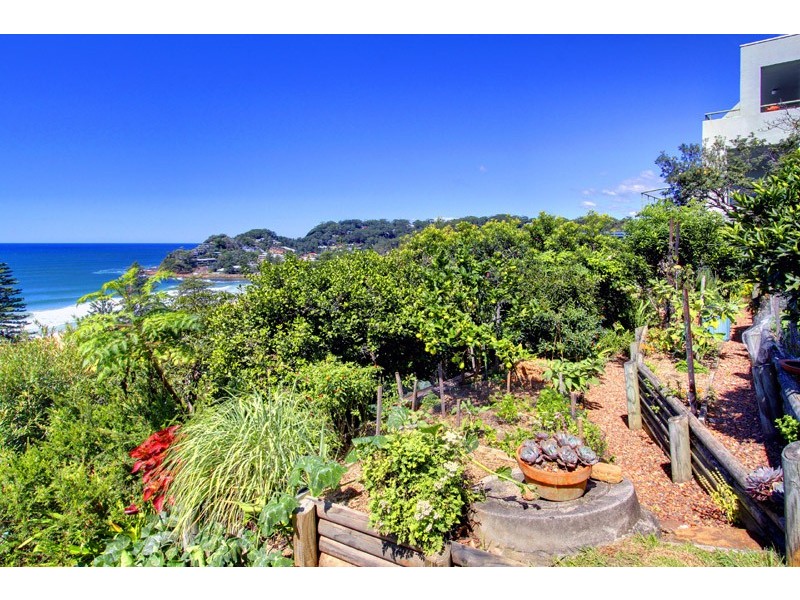 Avoca Beach NSW 2251