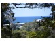 Avoca Beach NSW 2251