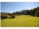 Picketts Valley NSW 2251