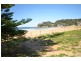 3/145 Avoca Drive, Avoca Beach NSW 2251