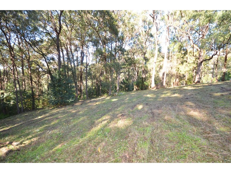 167 Hillside Road, Avoca Beach NSW 2251