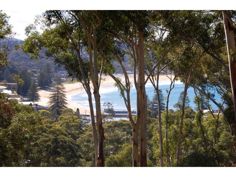 43 Arden Avenue, Avoca Beach NSW 2251
