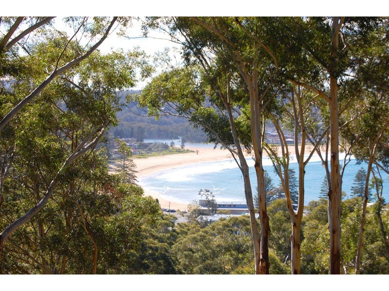 43 Arden Avenue, Avoca Beach NSW 2251