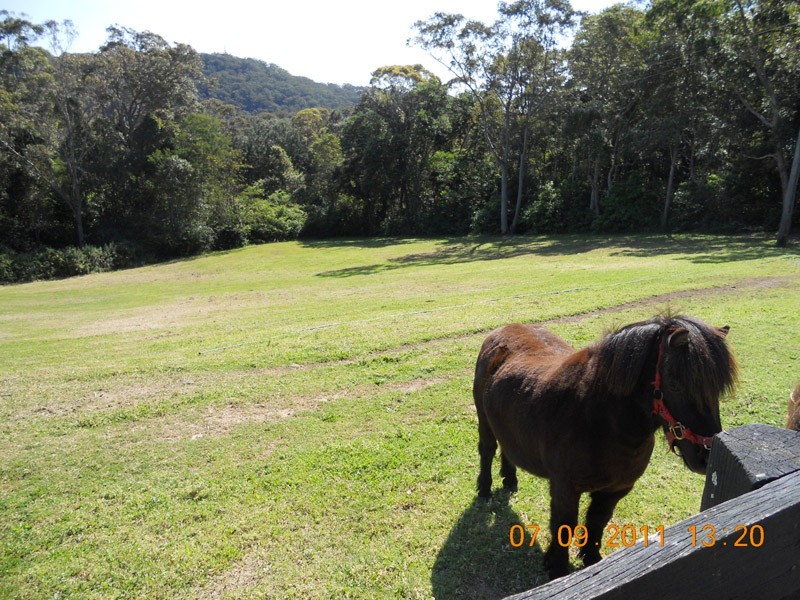 281 Scenic Highway, Terrigal NSW 2260