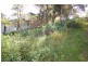 Copacabana NSW 2251
